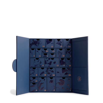 Adventskalender 2025