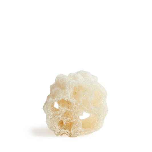 Cucurbita (Luffa) - Schwamm